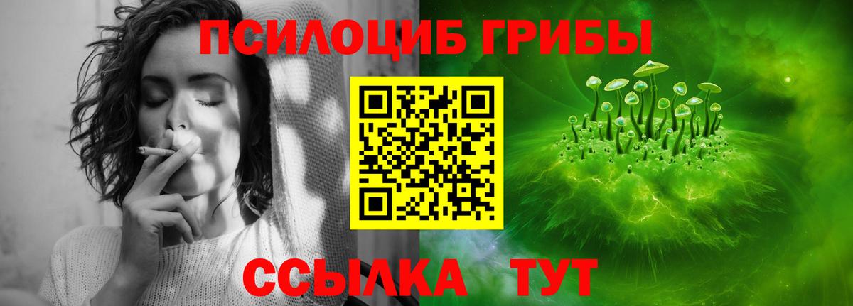 Калининград  Псилоцибиновые грибы ЛСД  Галлюциногенные грибы прущие грибы  Вход с VPN 
